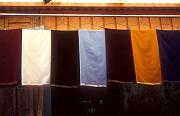Solid Colors_ 05